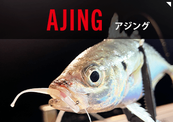 アジング