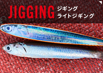 ジギング<br>ライトジギング